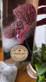 Etsy customer review photo