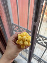 Althea review photo