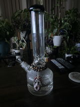 TopDog review photo