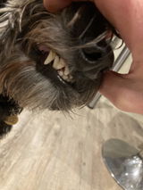 Peta B. review photo