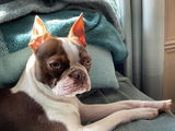 Michele H. review photo