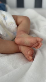Dinha Reborns review photo