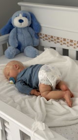 Dinha Reborns review photo