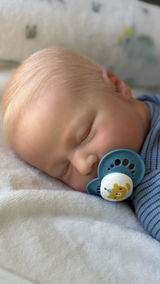 Dinha Reborns review photo