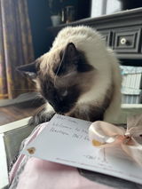 Sunni M. review photo