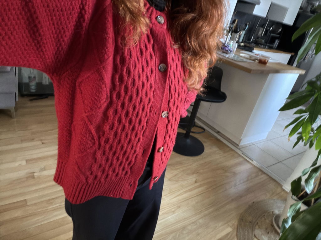 Oyama | Red Cable Knit Button-Front Cardigan