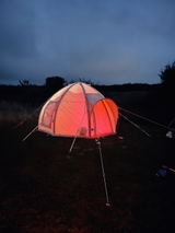 Barry W review photo