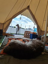 Vibeke F. review photo