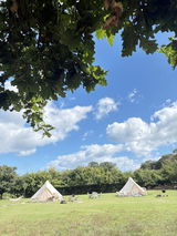 J c Andrews review photo