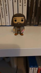 Sacha review photo