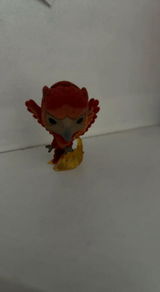 Guigui review photo