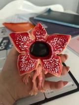 cosmic_cat review photo