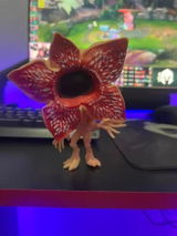 swift_delivery review photo