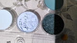 Celine Fortier review photo