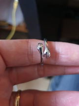 Vincent review photo