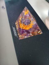 F.L.D. review photo