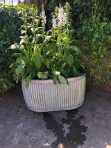 Ruth Customer review photo