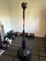 Antz L review photo