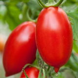 NT review photo