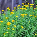 EH review photo
