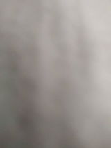 Barton Dickler review photo
