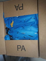 The Korean Wolves review photo