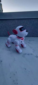 Igor Macedo review photo