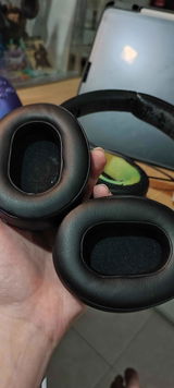 D.B. review photo