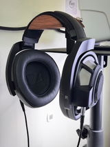 1.F. review photo