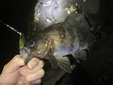 FAILED ANGLER YOHEI review photo
