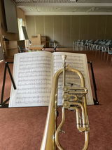 Cornelia Wehe review photo