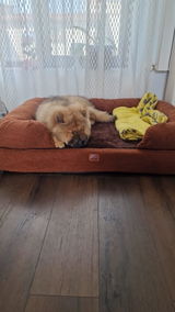 Oana review photo