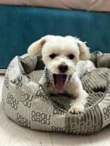 Puppy Place review photo