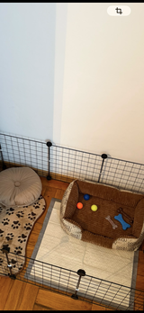 Analia Artamon review photo