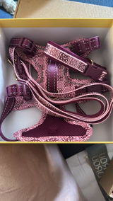 Alexandra Cristea review photo
