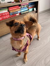 Andreea review photo