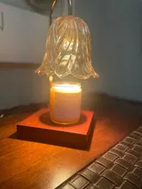 Erin review photo