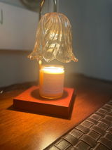 Erin Z review photo