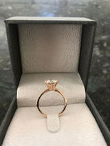 Cassie Colabella review photo
