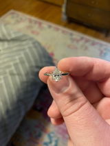 Birdie review photo