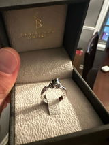 Bennett review photo