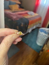 Dasia review photo