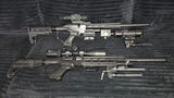 NT's Critter Control review photo