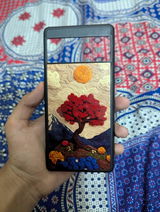 Tayyab review photo