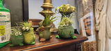 Dina Gross review photo