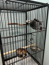 Denise Towndsend review photo