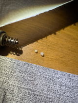 Mark E review photo