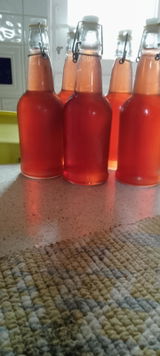 Terence Wildey review photo