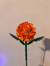 Tyler Godkin review photo
