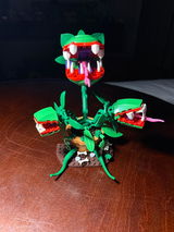 Erin review photo
